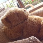 寝かしつけの方法を紹介。赤ちゃんがぐっすり眠れた秘訣を伝授!