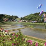 千葉県香取市の橘ふれあい公園で鯉のぼりまつり!普段は無料でキャンプもできるよ。